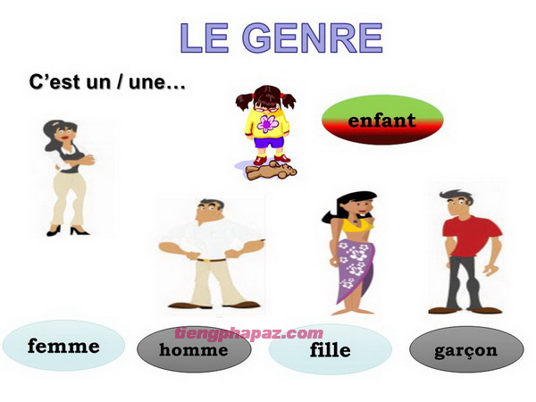 Danh từ giống cái đặc biệt trong tiếng Pháp - Học tiếng Pháp online