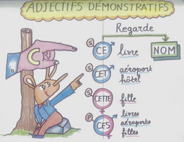 Tính từ chỉ định và đại từ chỉ định trong tiếng Pháp - Học tiếng Pháp online