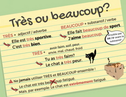 Cách sử dụng một số trạng từ đặc biệt và tính từ đặc biệt trong tiếng Pháp - Học tiếng Pháp online
